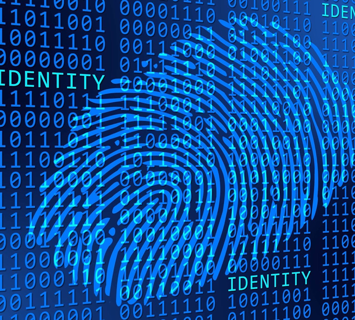 Digital Fingerprint Security